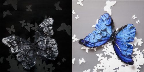 Mariposas
