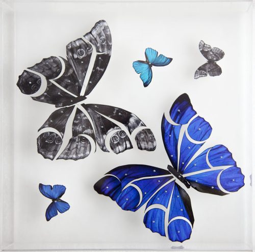 Mariposas 