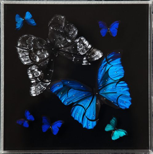 Maripositas