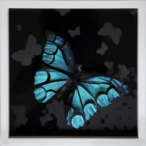 Mariposas II